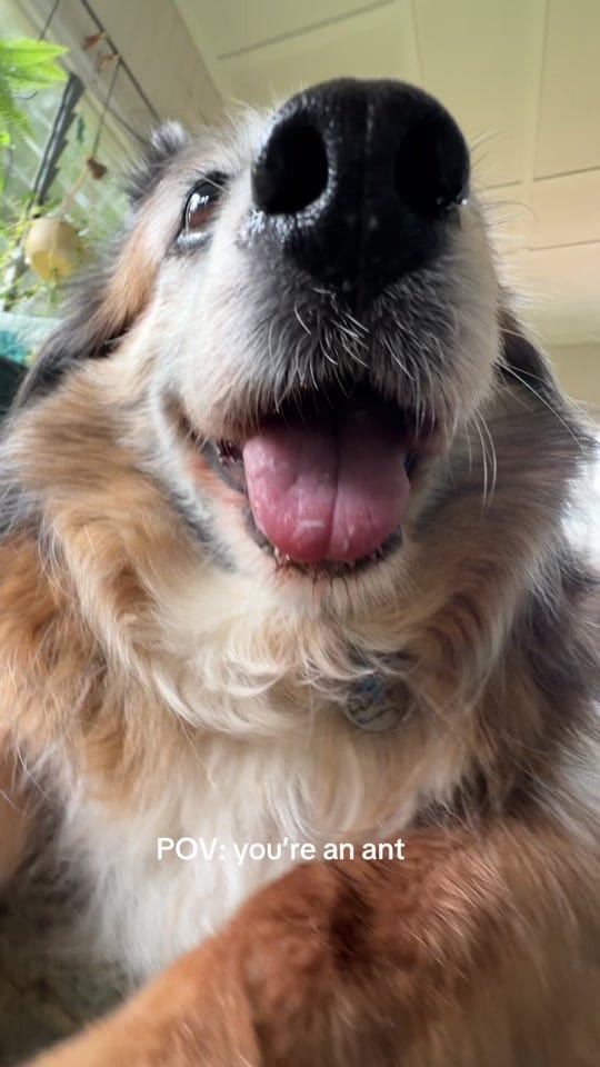 Post 9 by FurthestDoor on TikTok (video)
