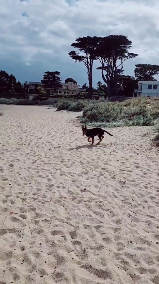 Post 10 by Sophie Mac on TikTok (video)