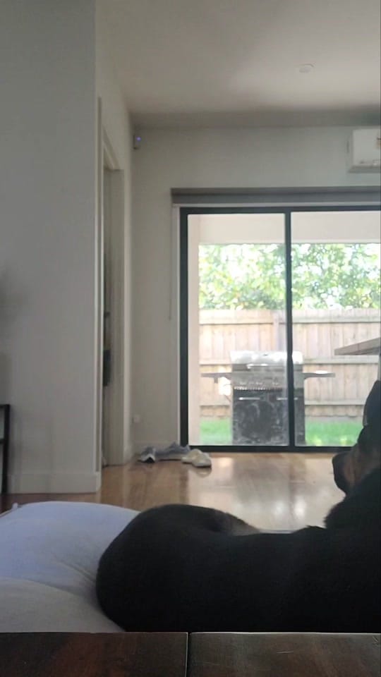 Post 3 by Sophie Mac on TikTok (video)