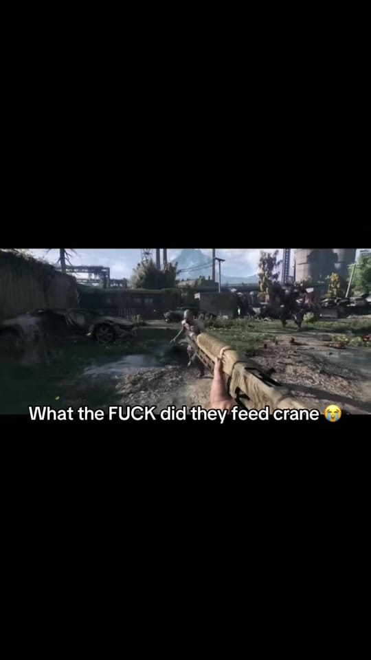 Post 8 by Sbeve on TikTok (video)