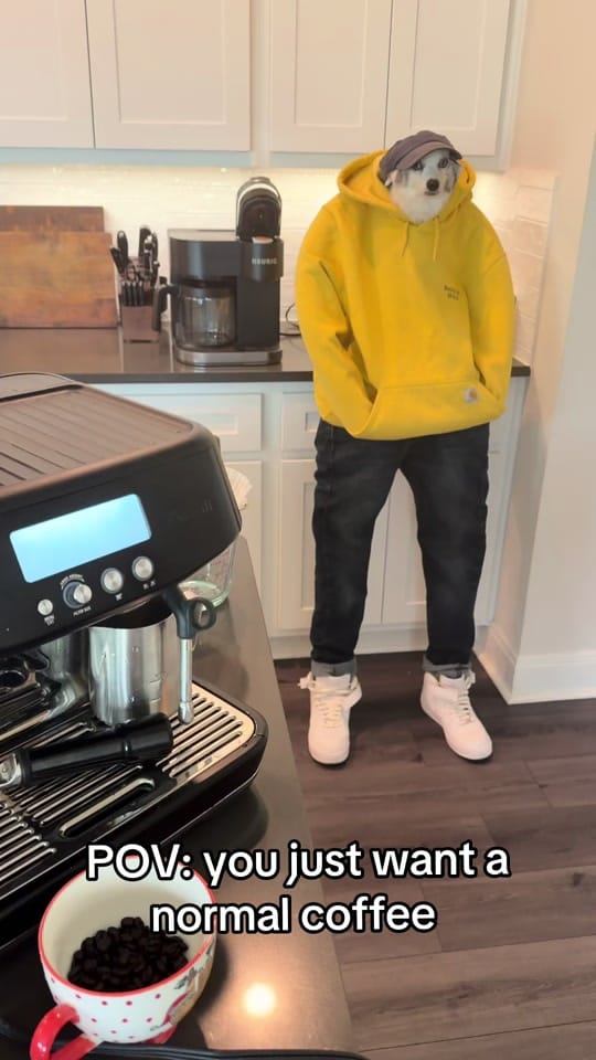 Post 9 by oops_itsgary on TikTok (video)
