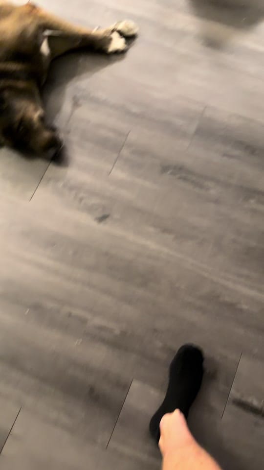 Post 2 by oops_itsgary on TikTok (video)