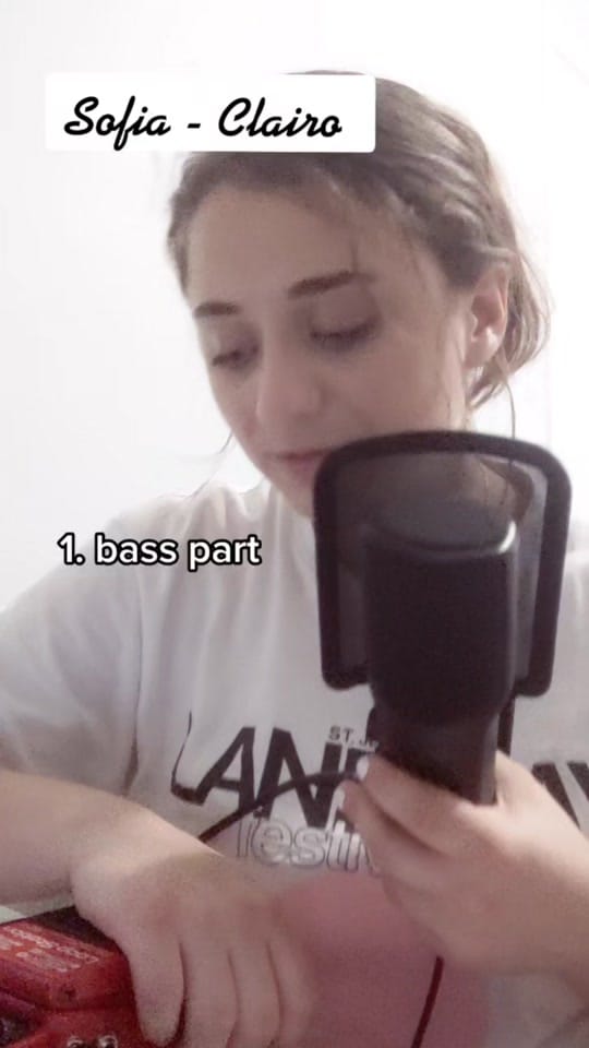 Post 5 by anneliese on TikTok (video)