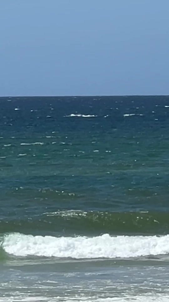 Post 3 by These New South Whales on TikTok (video)