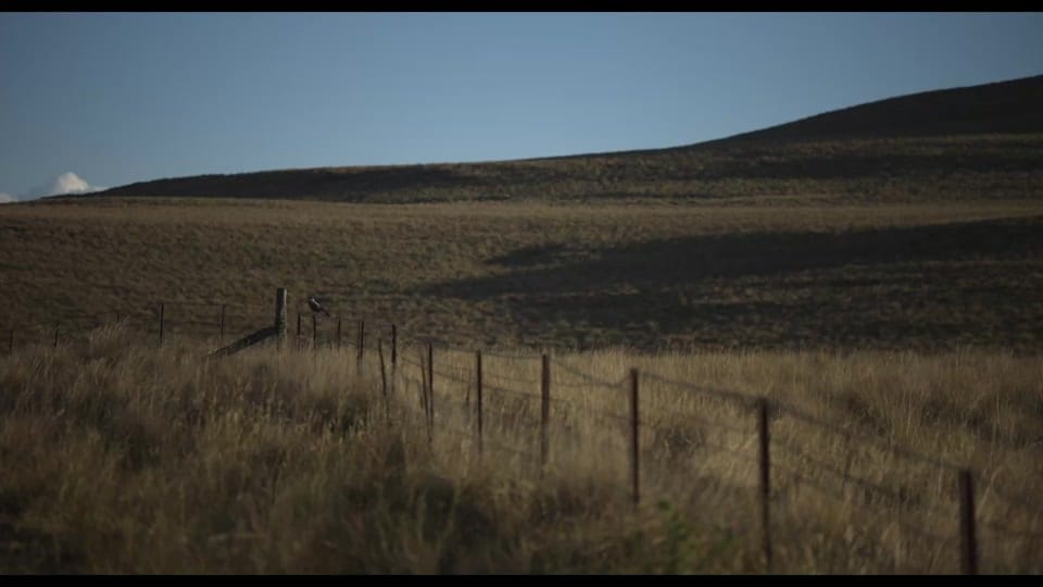 Post 5 by cinemaaustralia on TikTok (video)