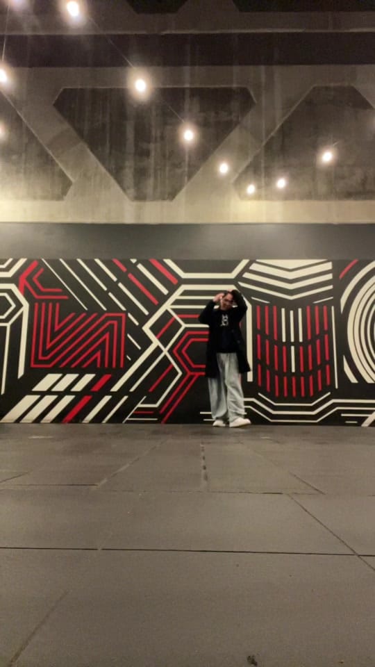 Post 8 by Richard Halim on TikTok (video)