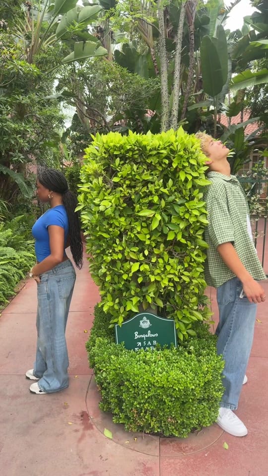 Post 6 by nxtsocialclub on TikTok (video)