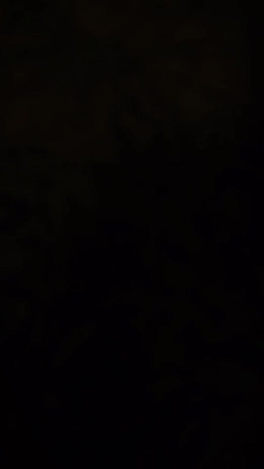 Post 7 by Steve’s place down under on TikTok (video)