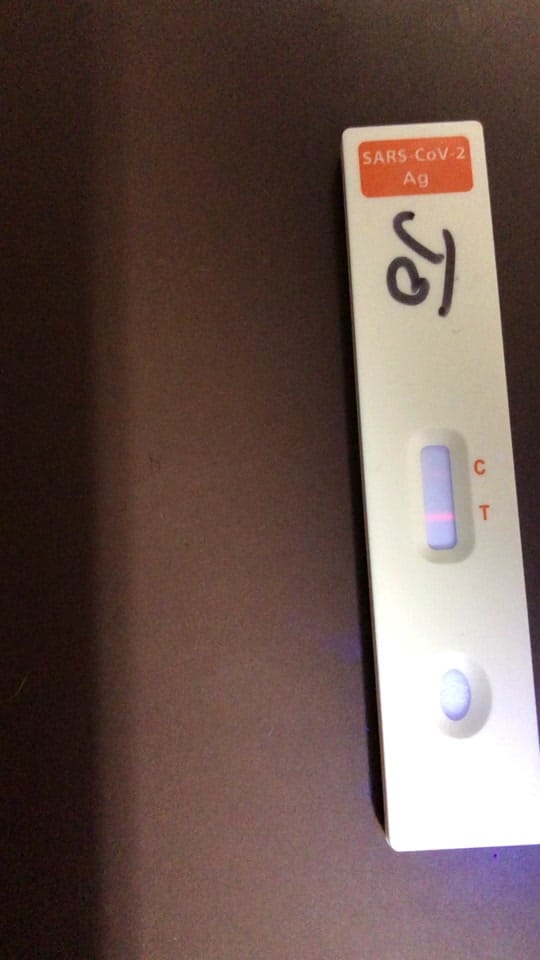 Post 6 by Joanna Lansdowne 🇦🇺 on TikTok (video)