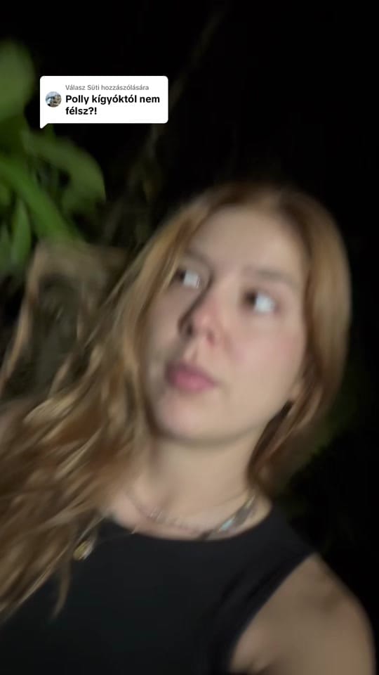 Post 2 by Polly Péter on TikTok (video)