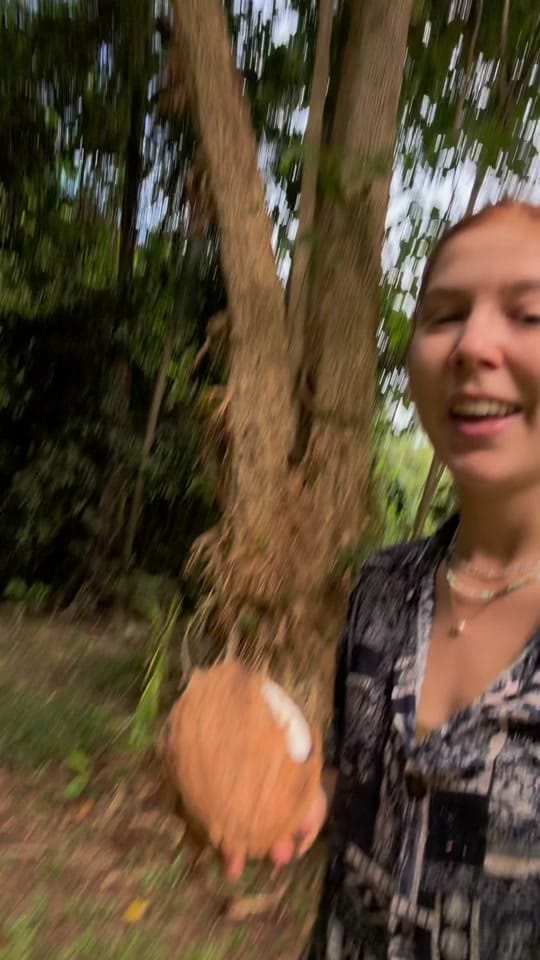 Post 3 by Polly Péter on TikTok (video)