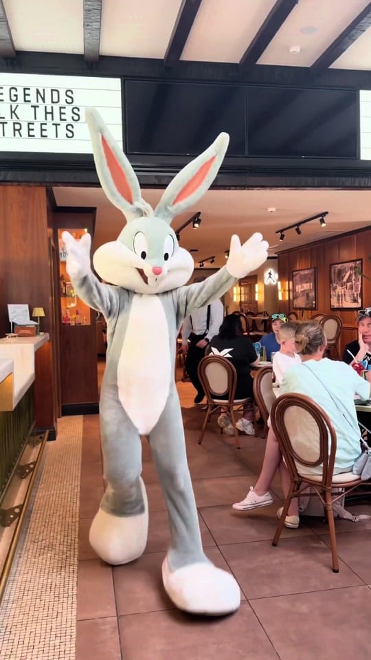 Post 5 by Warner Bros. Movie World on TikTok (video)