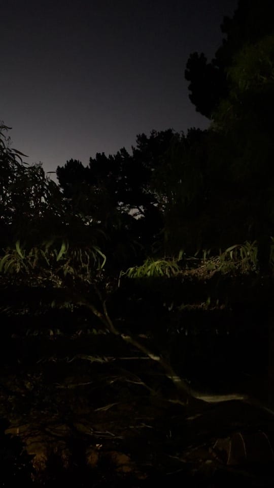 Post 3 by JoanneSub on TikTok (video)