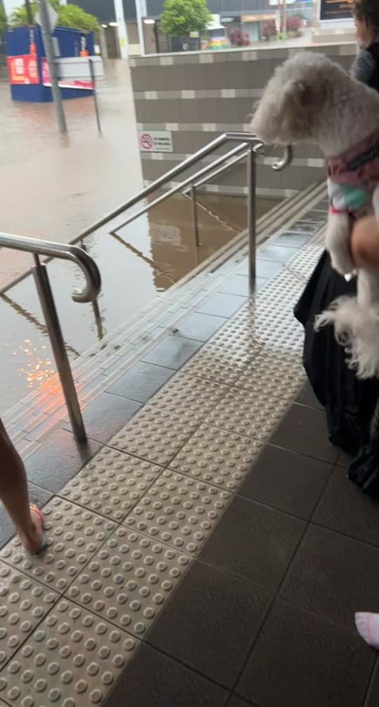 Post 6 by Matt1998 on TikTok (video)