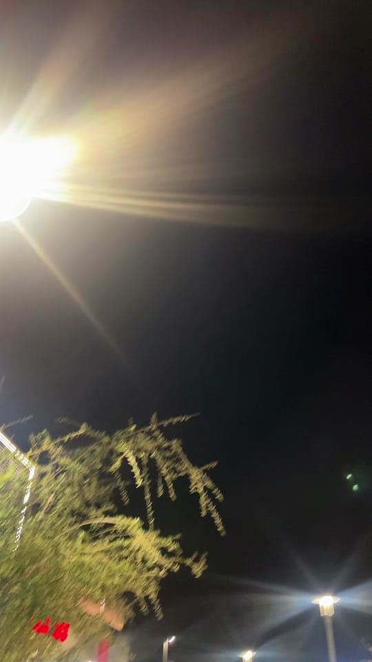 Post 8 by sydneytaleah0 on TikTok (video)