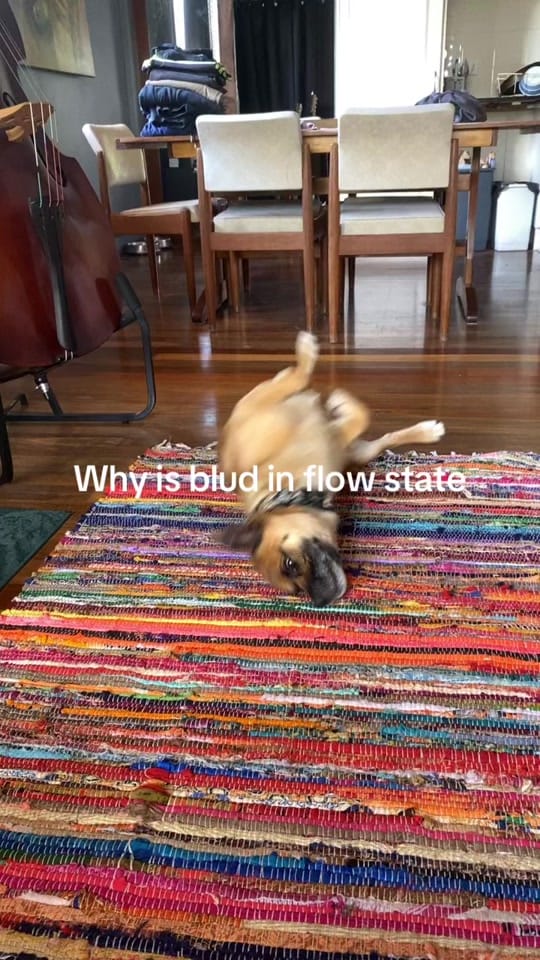 Post 4 by son.dawg on TikTok (video)