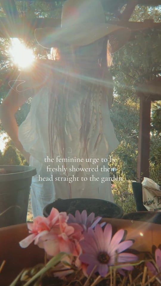 Post 5 by Smoke of Wands on TikTok (video)