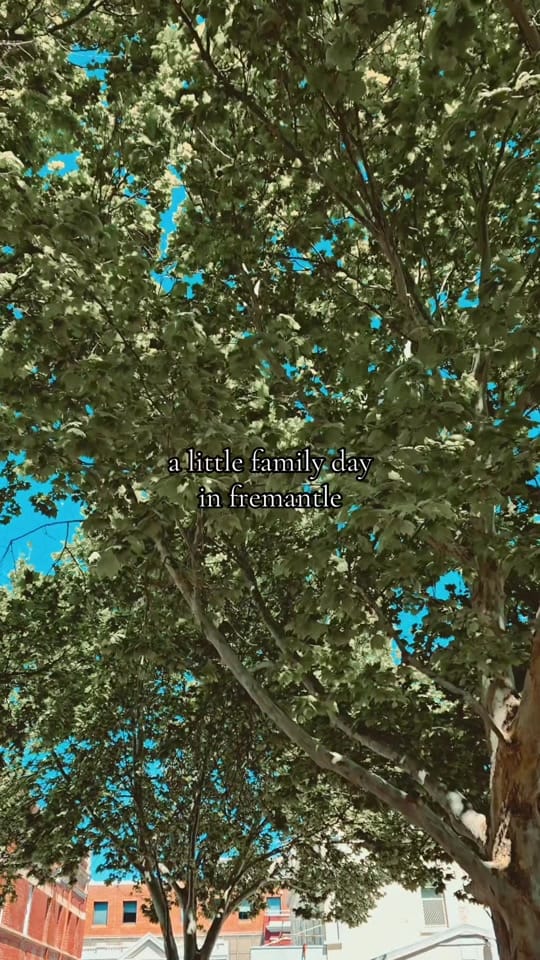 Post 4 by Smoke of Wands on TikTok (video)