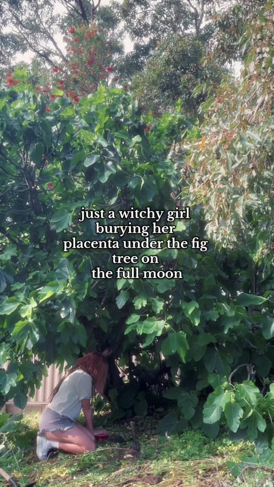 Post 1 by Smoke of Wands on TikTok (video)