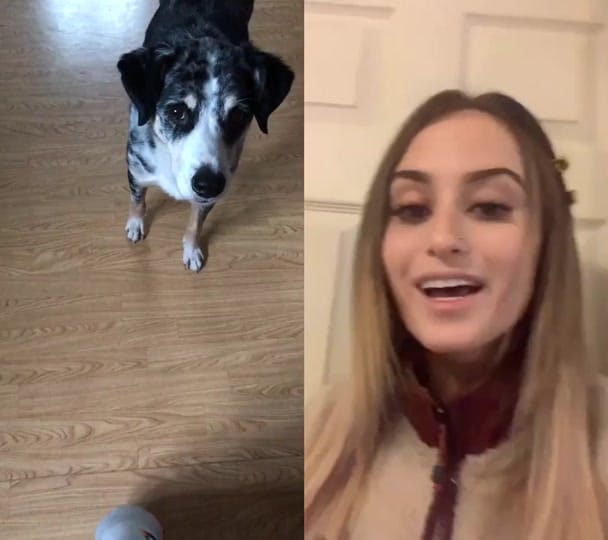 Post 6 by KnuddelJessi on TikTok (video)