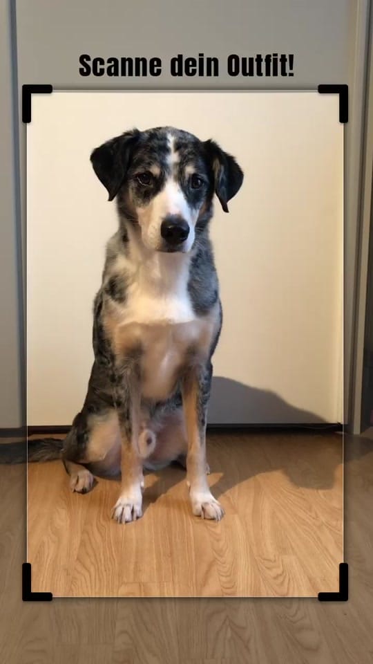 Post 9 by KnuddelJessi on TikTok (video)