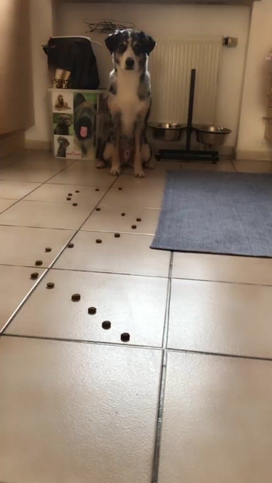 Post 2 by KnuddelJessi on TikTok (video)