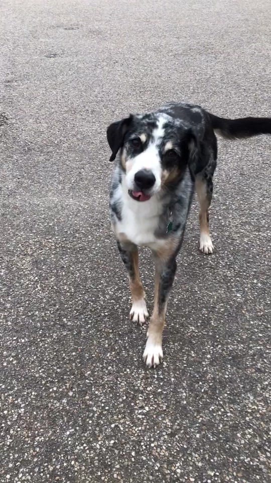 Post 1 by KnuddelJessi on TikTok (video)