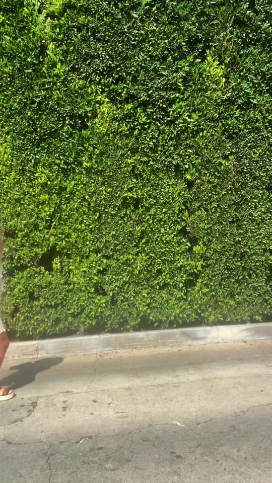 Post 4 by Tayla Stevenson on TikTok (video)