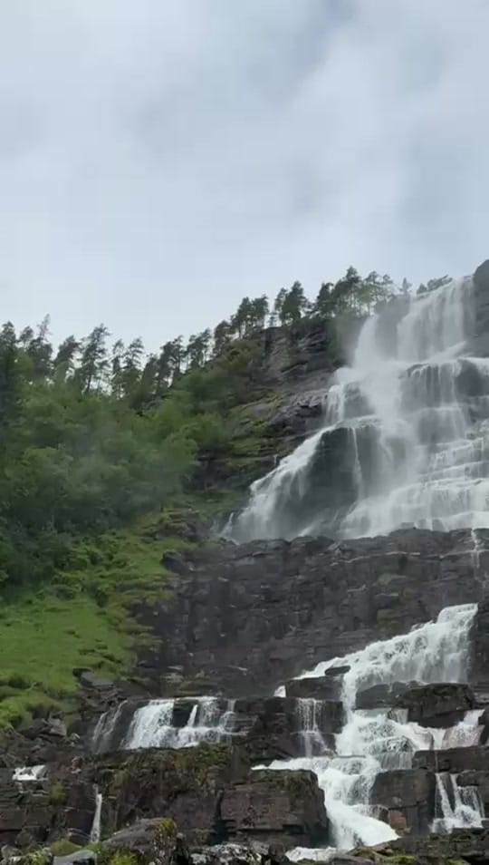 Post 6 by Bonny Fernando on TikTok (video)
