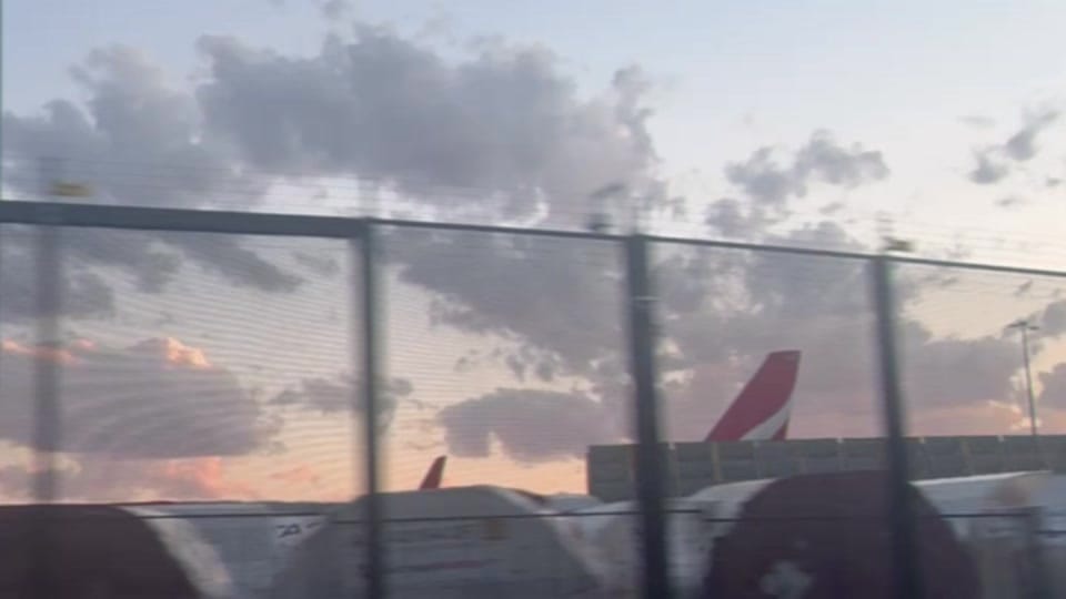 Post 3 by gardenia.paese on TikTok (video)