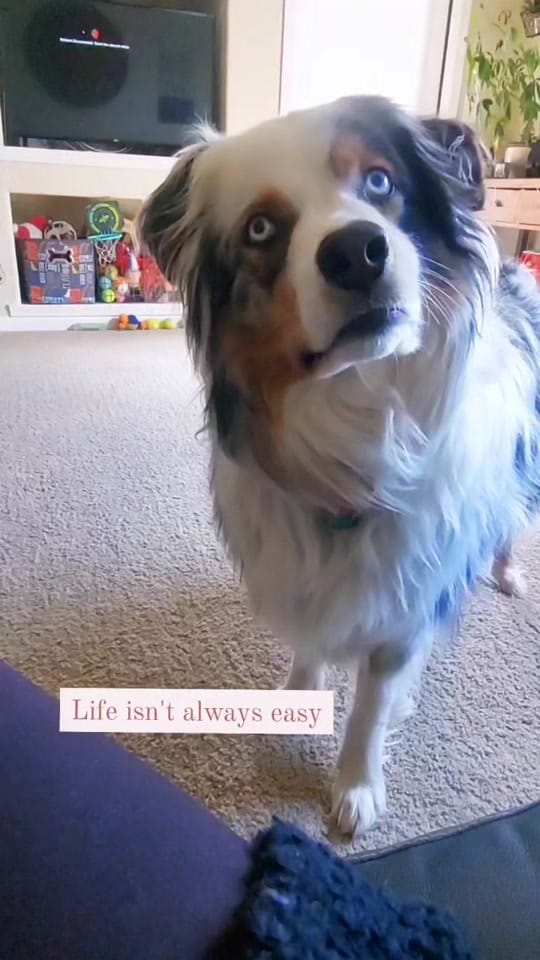 Post 8 by Kimberly on TikTok (video)