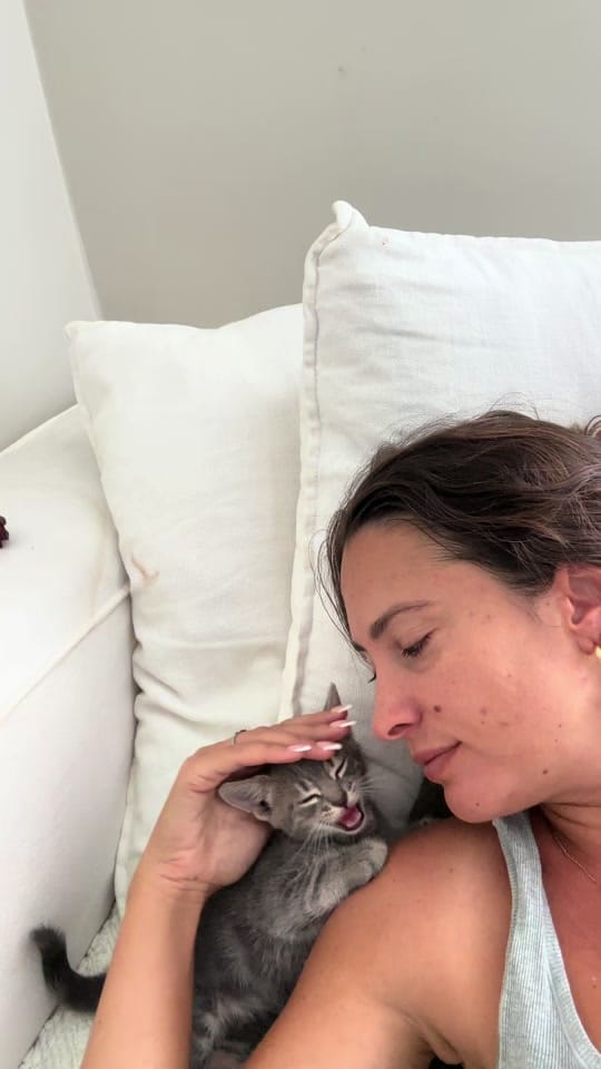 Post 4 by Jamie Jaymes on TikTok (video)