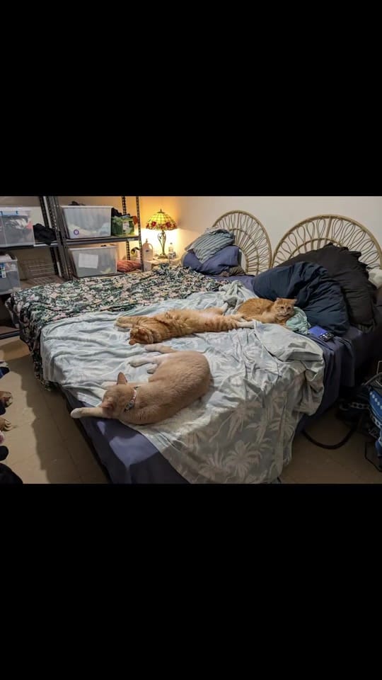 Post 2 by stubbzy75 on TikTok (video)