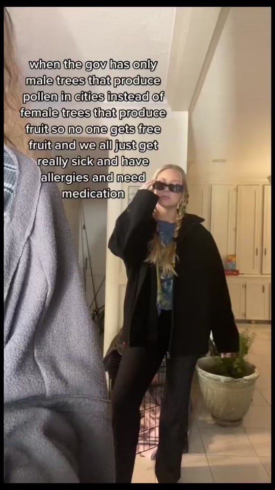 Post 9 by Pixie Stix on TikTok (video)
