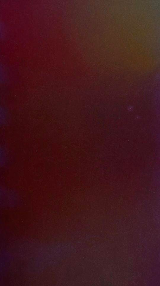 Post 2 by Claudia Tripp on TikTok (video)