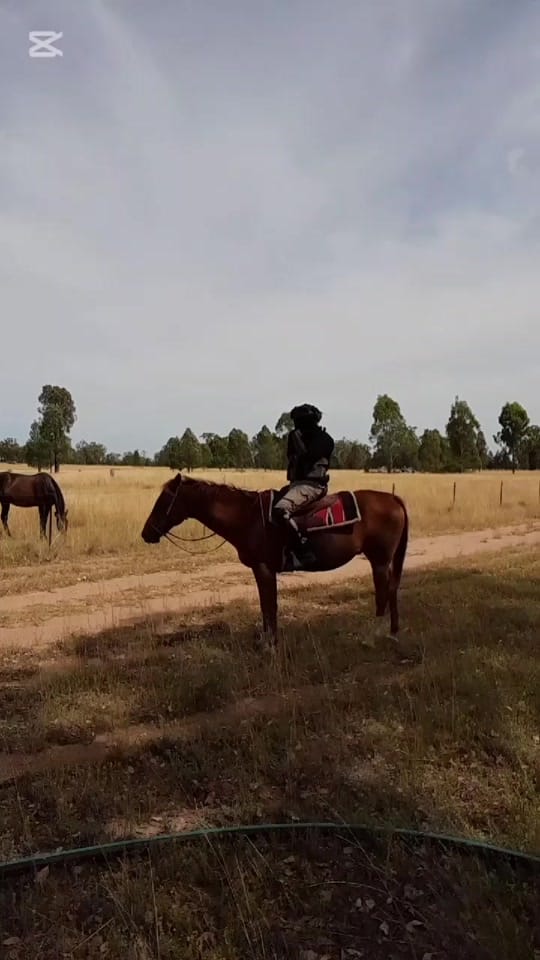 Post 8 by Flea on TikTok (video)