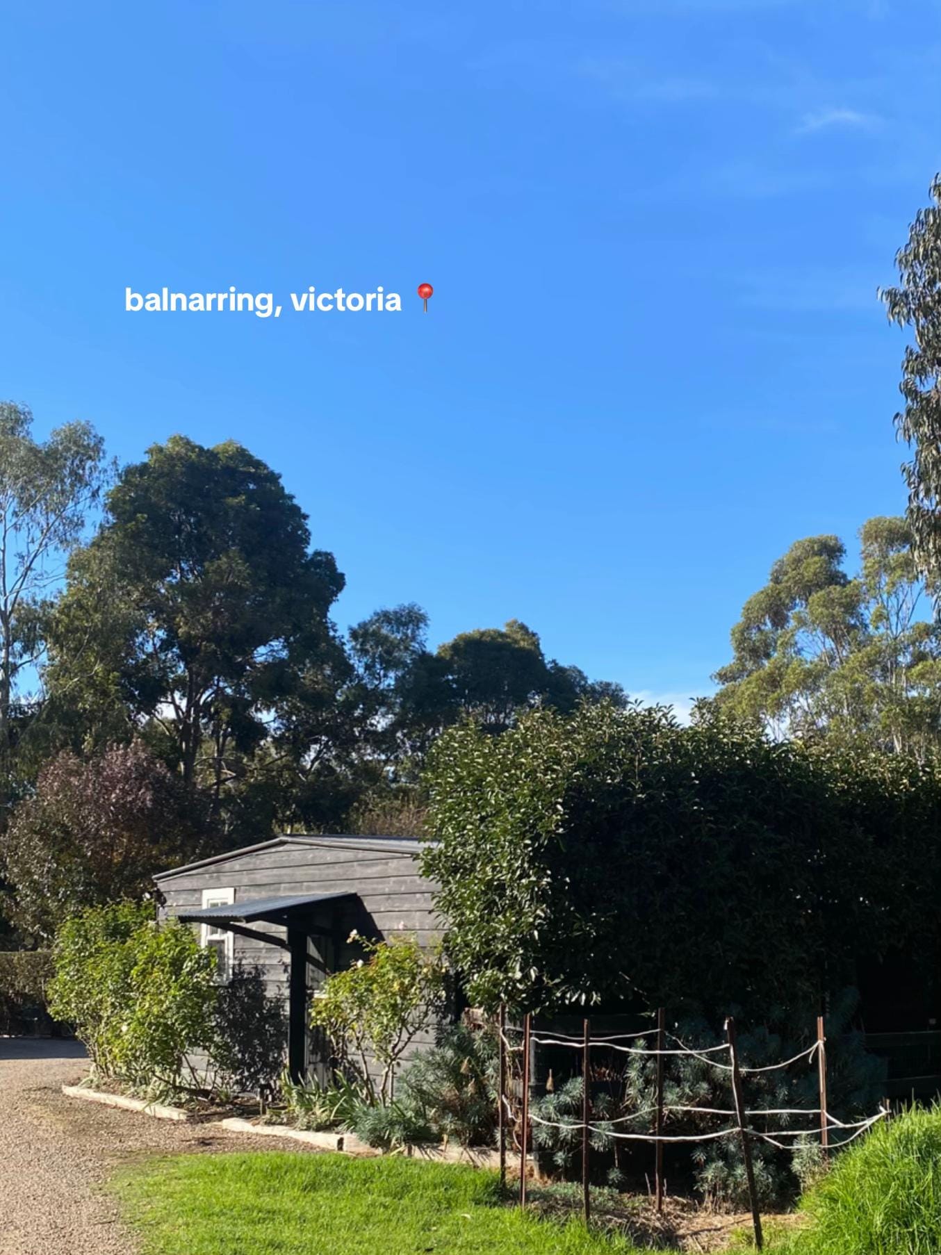 Post 3 by abby 🦕 on TikTok (video)