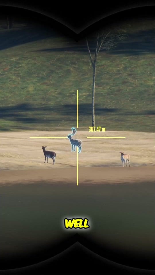 Post 2 by ThatAussieHunter on TikTok (video)