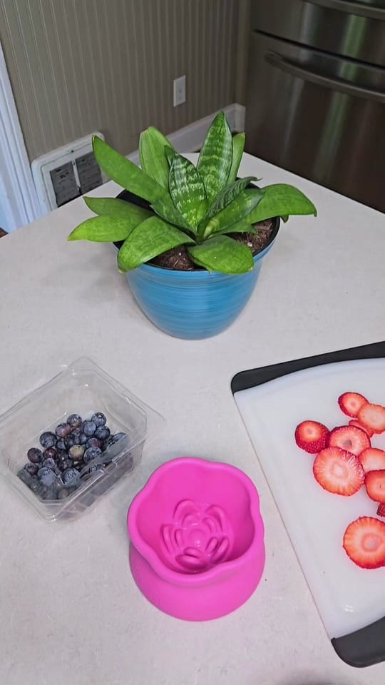 Post 3 by The Blue Eyed Bandit on TikTok (video)