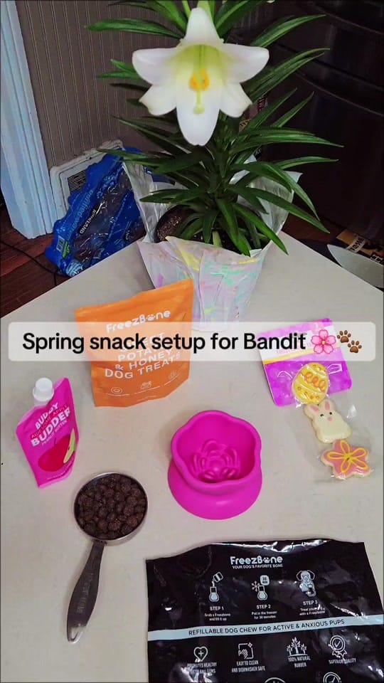 Post 4 by The Blue Eyed Bandit on TikTok (video)