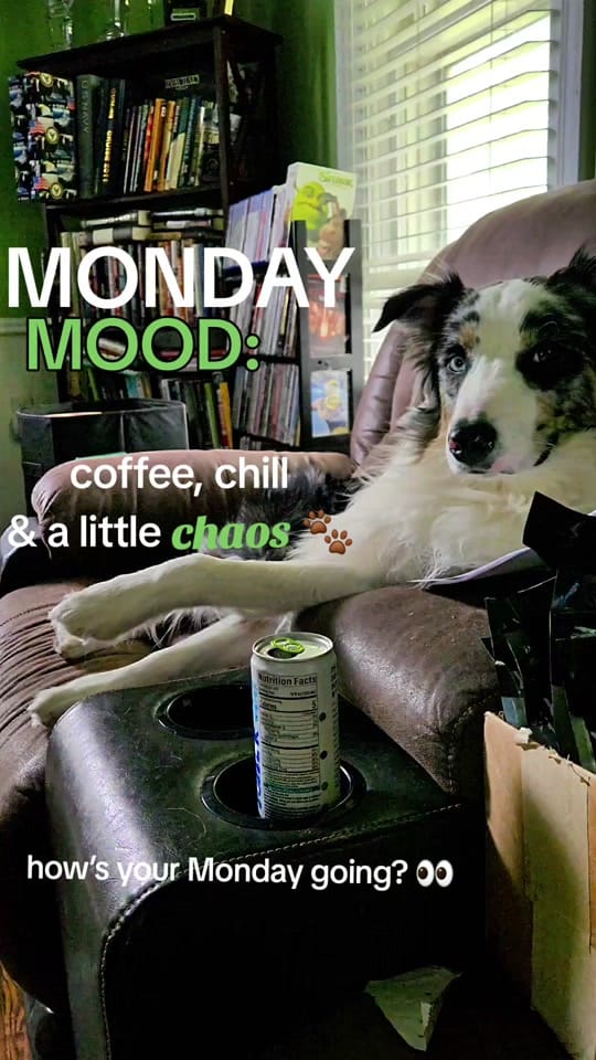 Post 10 by The Blue Eyed Bandit on TikTok (video)
