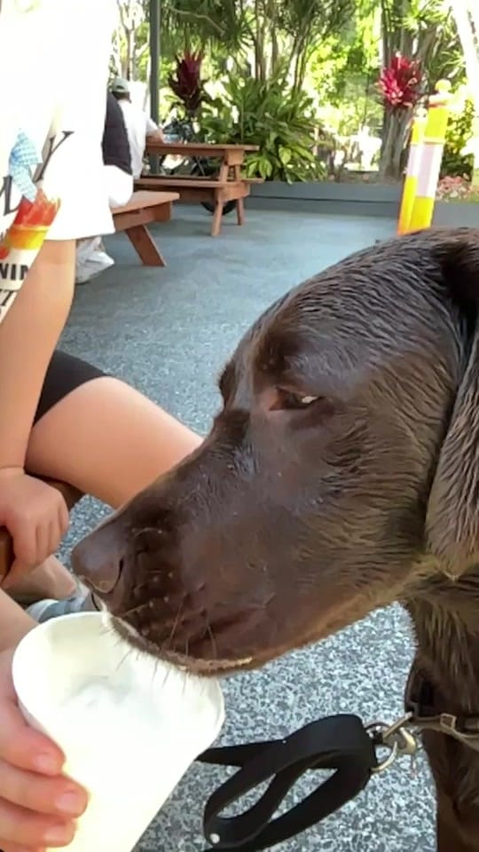 Post 7 by creektocoast on TikTok (video)