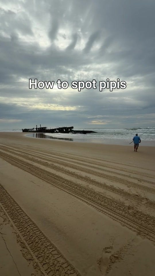 Post 2 by creektocoast on TikTok (video)