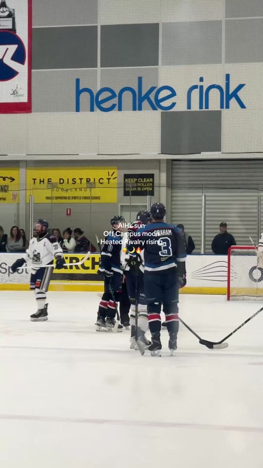 Post 6 by lizzie.mouse on TikTok (video)