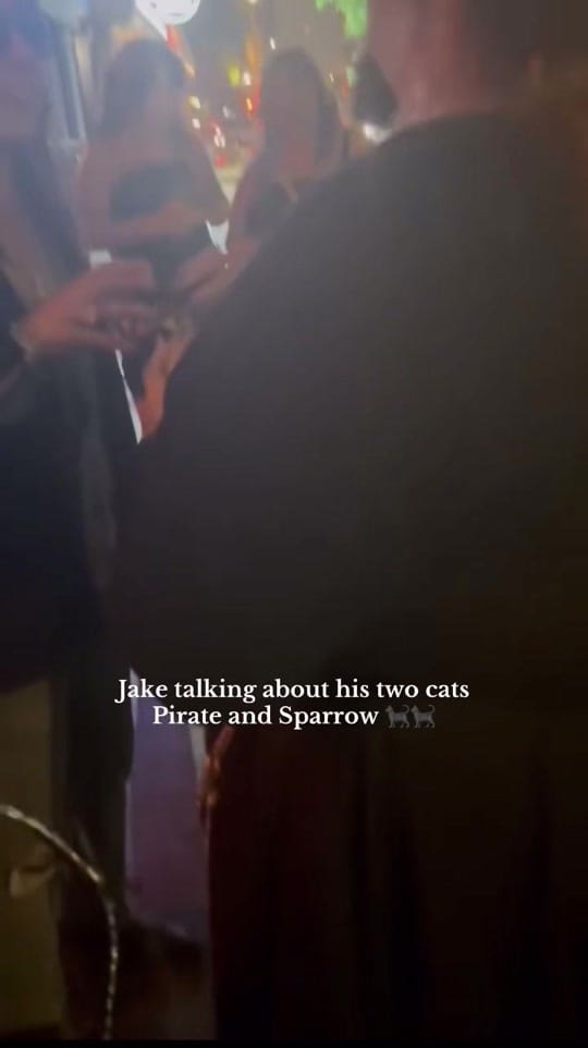 Post 5 by gvfaustralia on TikTok (video)