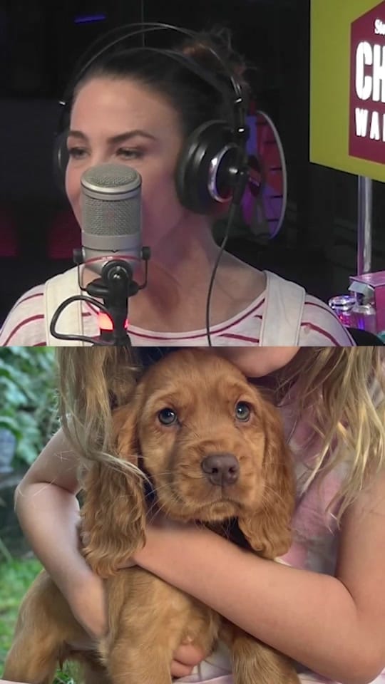 Post 5 by Fitzy, Wippa & Kate on TikTok (video)