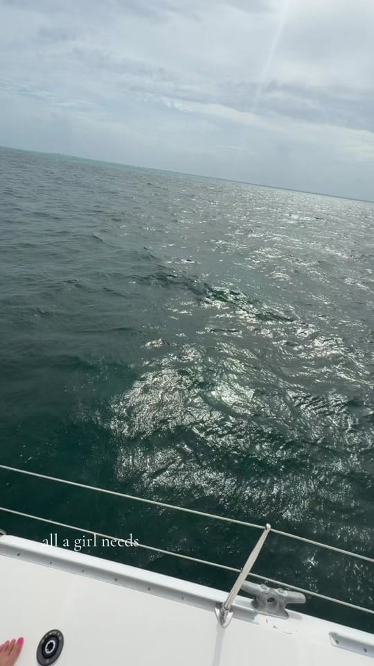 Post 1 by Bre’s finds on TikTok (video)