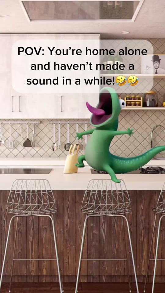 Post 1 by 🐦‍⬛Melmo🐦‍⬛ on TikTok (video)