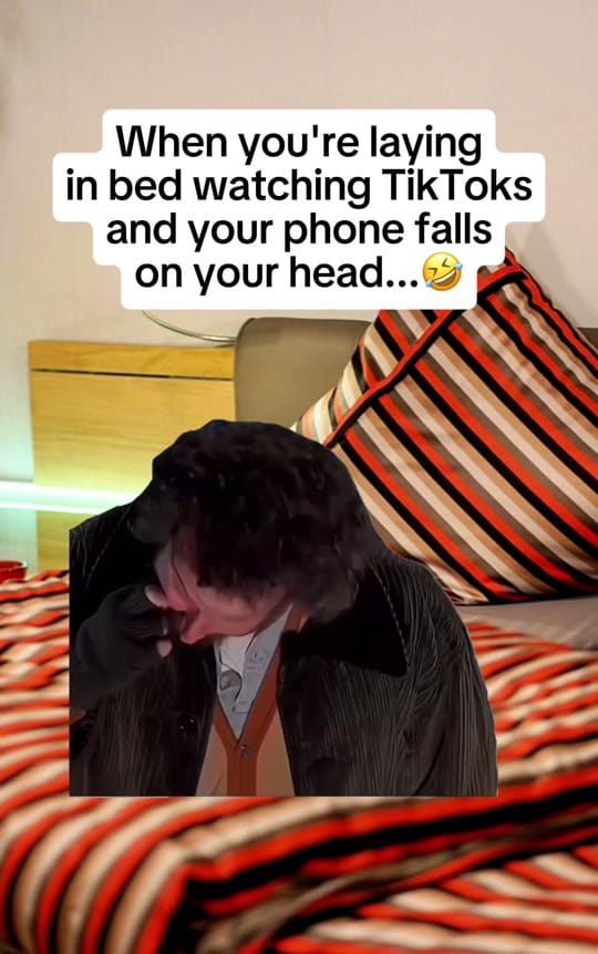 Post 10 by 🐦‍⬛Melmo🐦‍⬛ on TikTok (video)