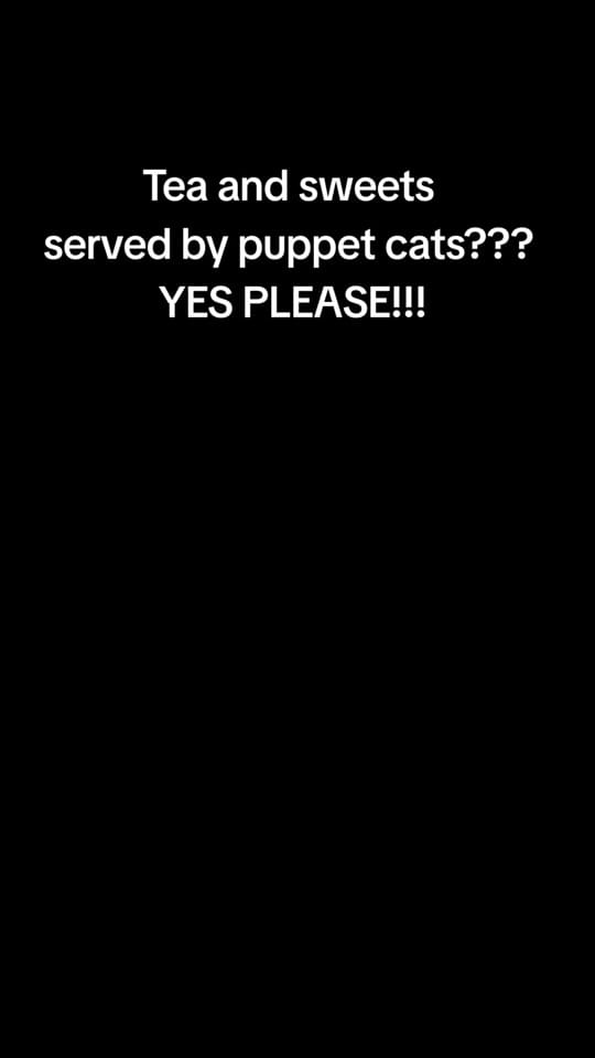 Post 3 by xmissmika on TikTok (video)